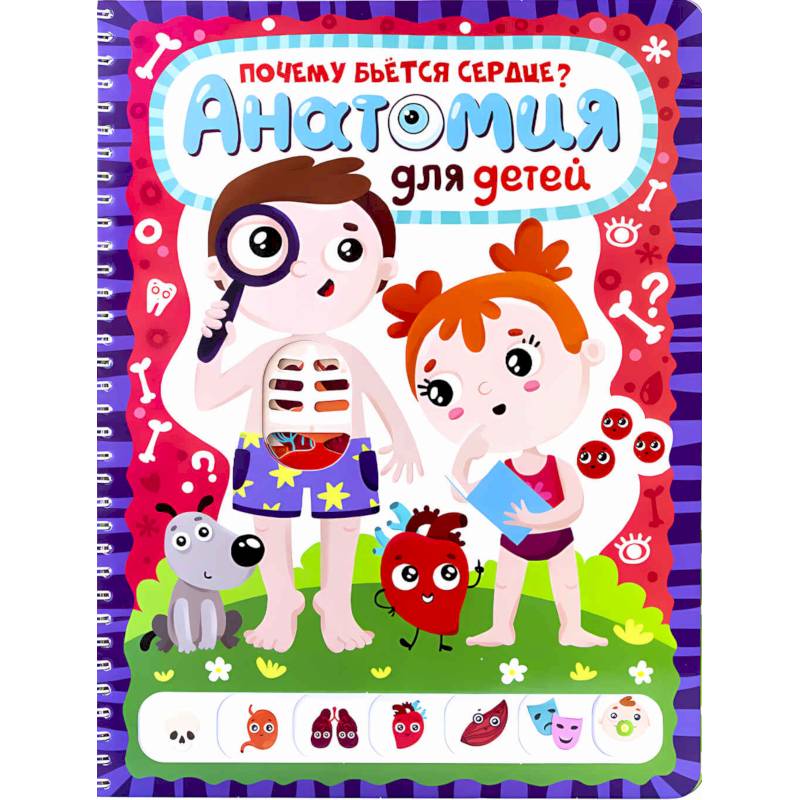 Анатомия Анатомия