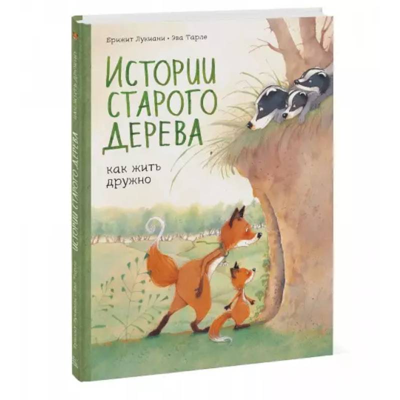 Истории старого дерева. Как жить дружно Истории старого дерева. Как жить дружно