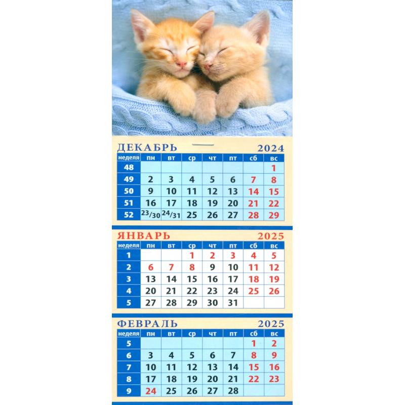 Календарь квартальный на магните на 2025 год Забавные котята Календарь квартальный на магните на 2025 год Забавные котята