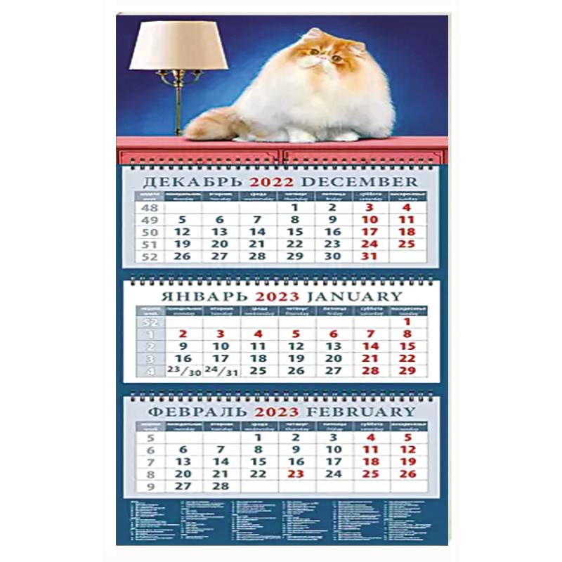 Календарь на 2023 год. Год кота. Пушистый красавчик Календарь на 2023 год. Год кота. Пушистый красавчик