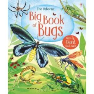 Big Book of Bugs Big Book of Bugs