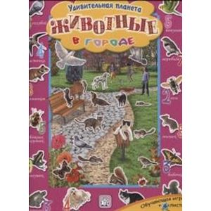Удивительная планета/Животные в городе