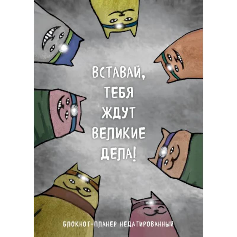 Блокнот-планер недатированный. Вставай, тебя ждут великие дела!