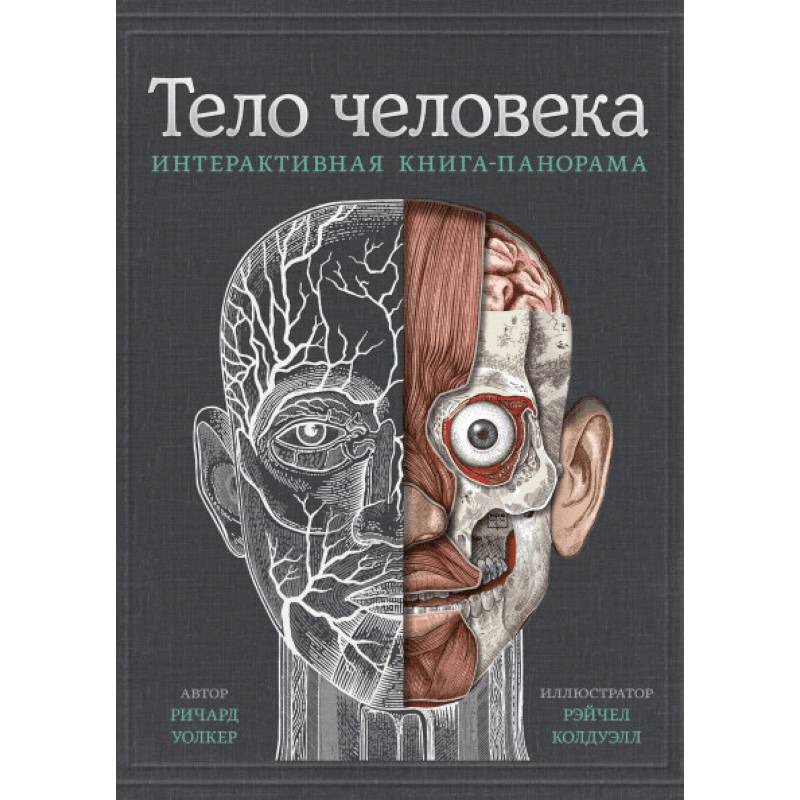 Тело человека. Интерактивная книга-панорама Тело человека. Интерактивная книга-панорама