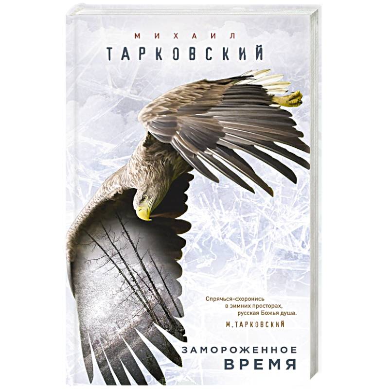 Замороженное время Замороженное время