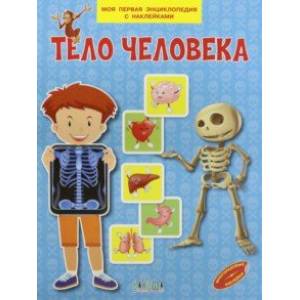 Тело человека Тело человека