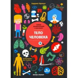 Тело человека. Инфографика Тело человека. Инфографика