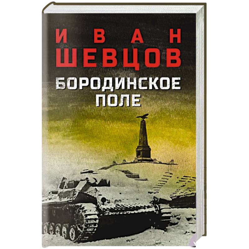 Бородинское поле