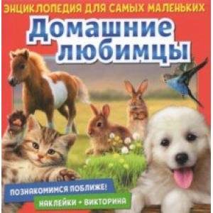 Познакомимся поближе! Домашние любимцы Познакомимся поближе! Домашние любимцы