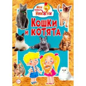 Кошки и котята