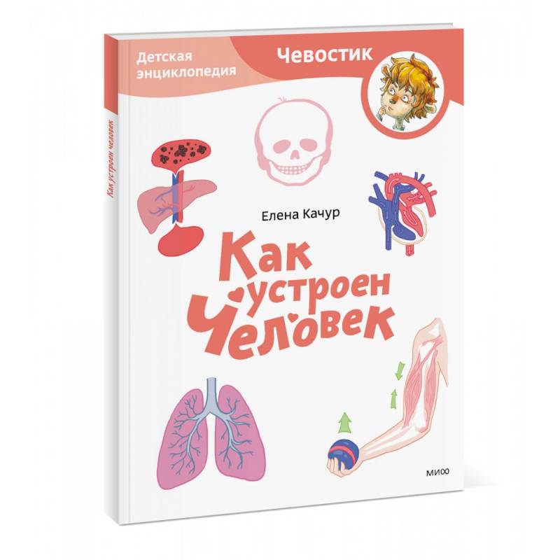 Как устроен человек. Детская энциклопедия Как устроен человек. Детская энциклопедия