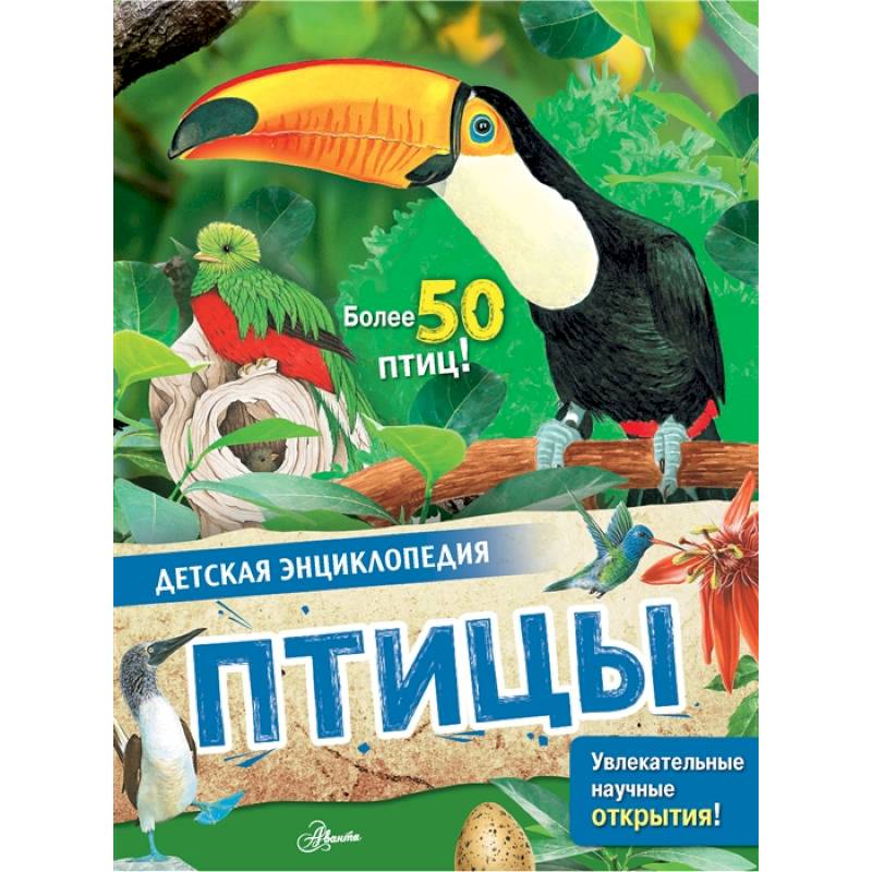Птицы