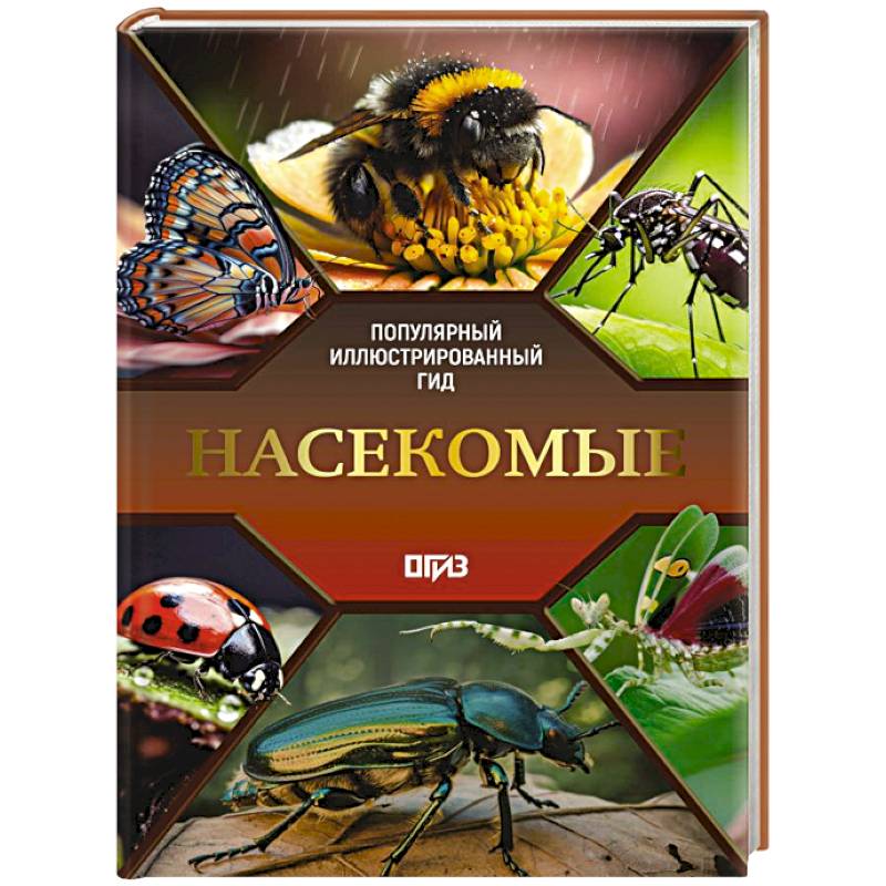 Насекомые. Иллюстрированный гид