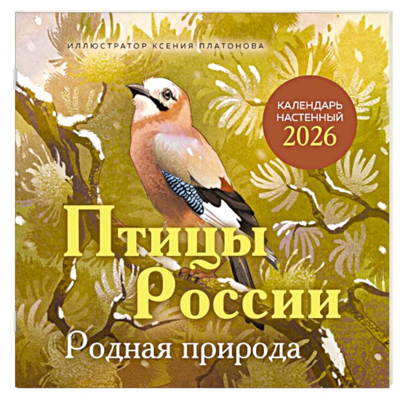 Птицы России. Родная природа. Календарь настенный на 2026 год Птицы России. Родная природа. Календарь настенный на 2026 год