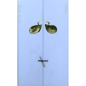 Чайка Чайка