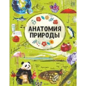 Анатомия природы Анатомия природы