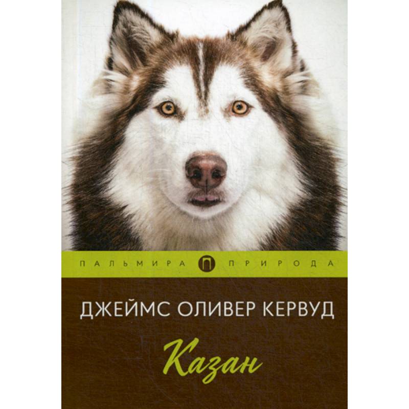 Казан Казан