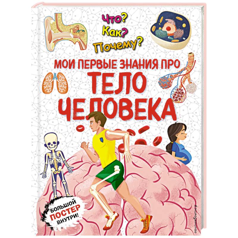 Что? Как? Почему? Мои первые знания про ТЕЛО ЧЕЛОВЕКА (с постером) Что? Как? Почему? Мои первые знания про ТЕЛО ЧЕЛОВЕКА (с постером)
