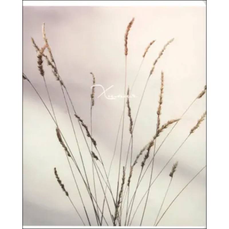 Тетрадь предметная Nude, Химия, 48 листов, клетка Тетрадь предметная Nude, Химия, 48 листов, клетка