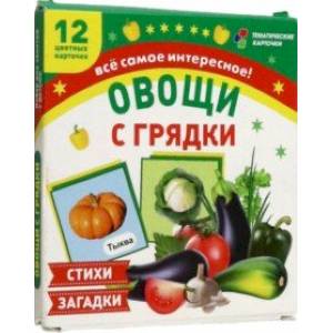 Овощи с грядки. 12 цветных карточек. Стихи и загадки. ФГОС ДО Овощи с грядки. 12 цветных карточек. Стихи и загадки. ФГОС ДО