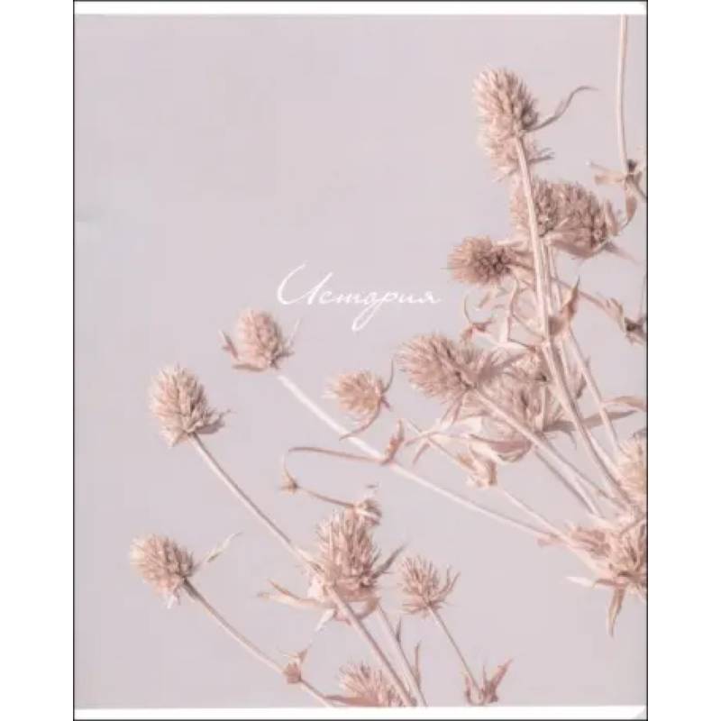 Тетрадь предметная Nude, История, 48 листов, клетка Тетрадь предметная Nude, История, 48 листов, клетка