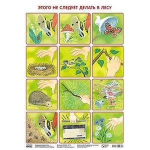 Плакат. Этого не следует делать в лесу