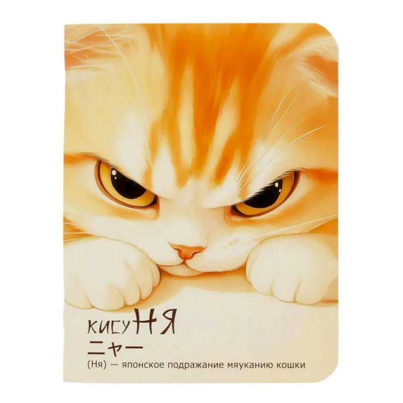 Блокнот КисуНя (котик хмурится) Блокнот КисуНя (котик хмурится)