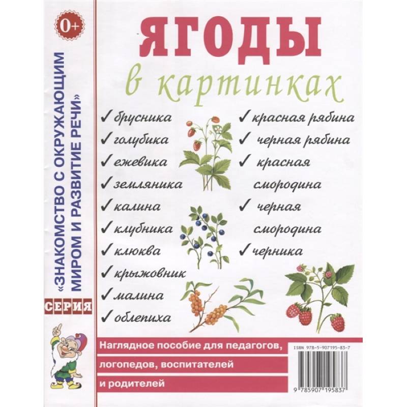Ягоды в картинках. Наглядное пособие для педагогов, логопедов, воспитателей и родителей Ягоды в картинках. Наглядное пособие для педагогов, логопедов, воспитателей и родителей