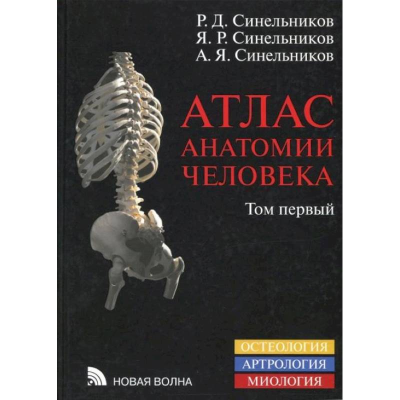 Атлас анатомии человека. В 4-х томах. Том 1. Учение о костях, соединениях костей и мышцах Атлас анатомии человека. В 4-х томах. Том 1. Учение о костях, соединениях костей и мышцах