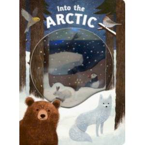 Look Closer Into the Arctic Look Closer Into the Arctic