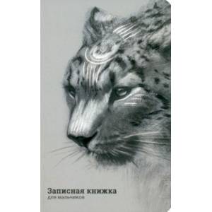 Записная книжка для мальчиков Ирбис, 56 листов, линия Записная книжка для мальчиков Ирбис, 56 листов, линия