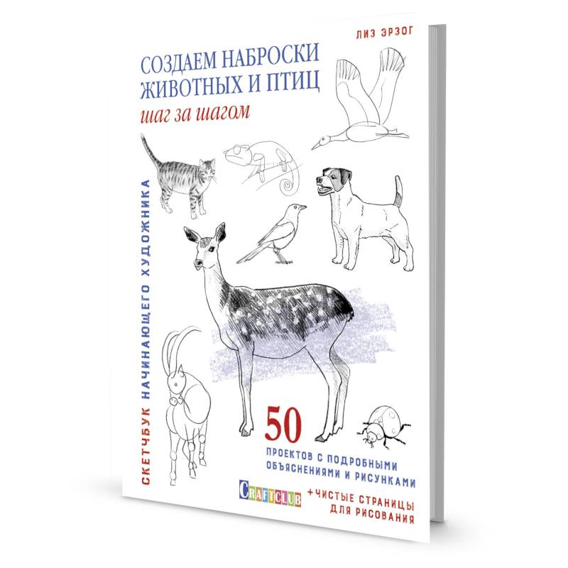 Скетчбук.Создаем наброски животных и птиц шаг за шагом:50 проектов с подроб.объяснениями Скетчбук.Создаем наброски животных и птиц шаг за шагом:50 проектов с подроб.объяснениями