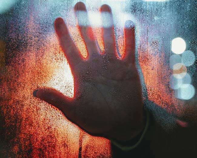 Лучшие книги про эпидемии