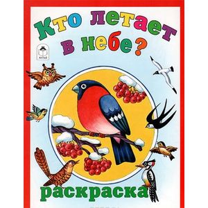 Кто летает в небе. Раскраска