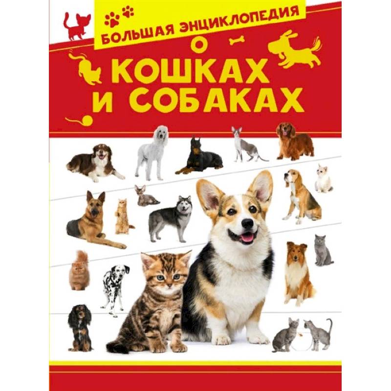 Большая энциклопедия о кошках и собаках Большая энциклопедия о кошках и собаках