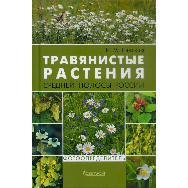 Травянистые растения средней полосы России. Фотоопределитель