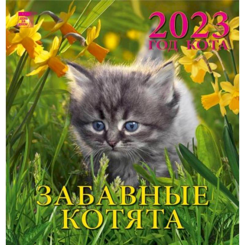 Календарь Год кота. Забавные котята, на 2023 год Календарь Год кота. Забавные котята, на 2023 год