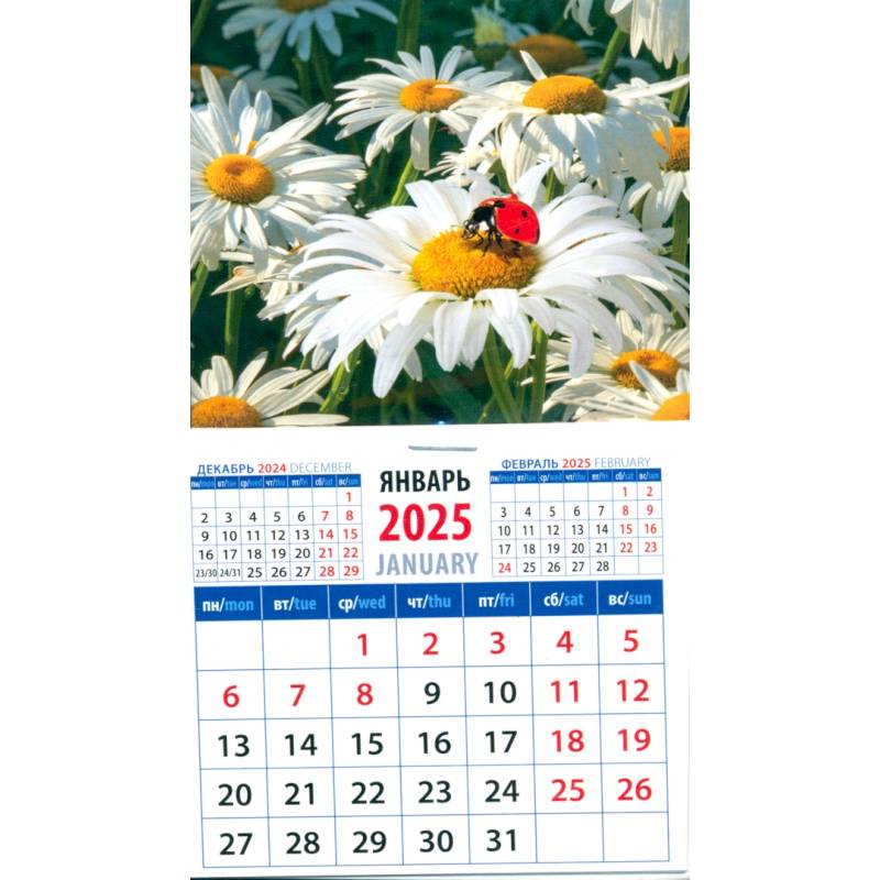 Календарь на магните на 2025 год Божья коровка на ромашке Календарь на магните на 2025 год Божья коровка на ромашке