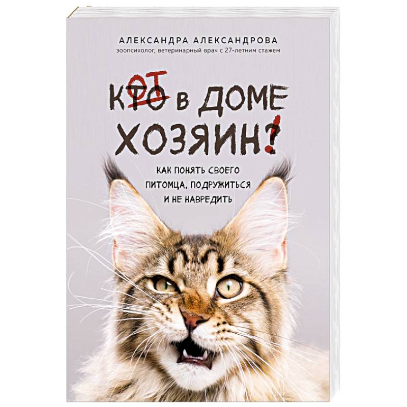 Кот в доме хозяин! Как понять своего питомца, подружиться и не навредить
