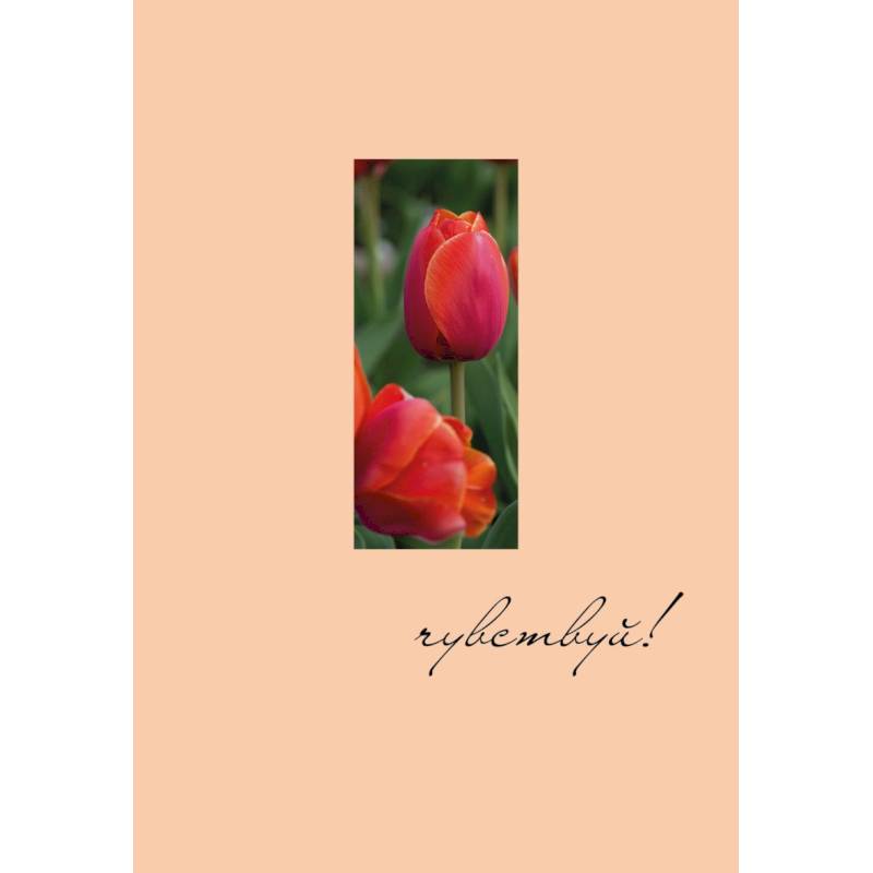 Чувствуй! Ежедневник недатированный