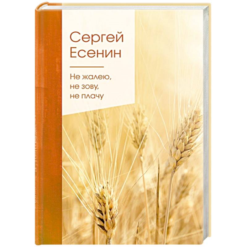 Не жалею, не зову, не плачу Не жалею, не зову, не плачу