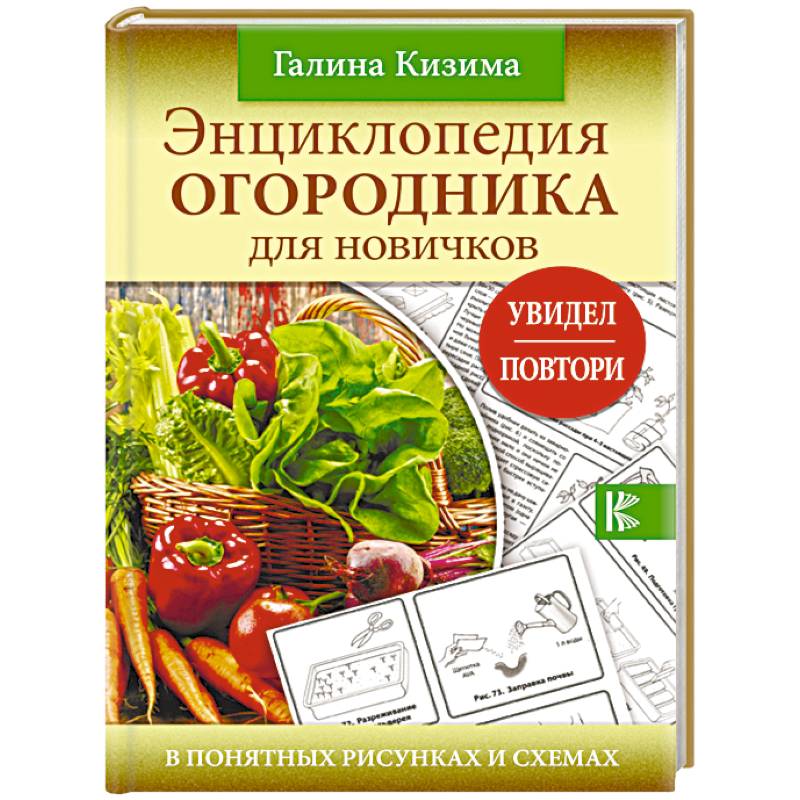 Энциклопедия огородника для новичков в понятных схемах и рисунках