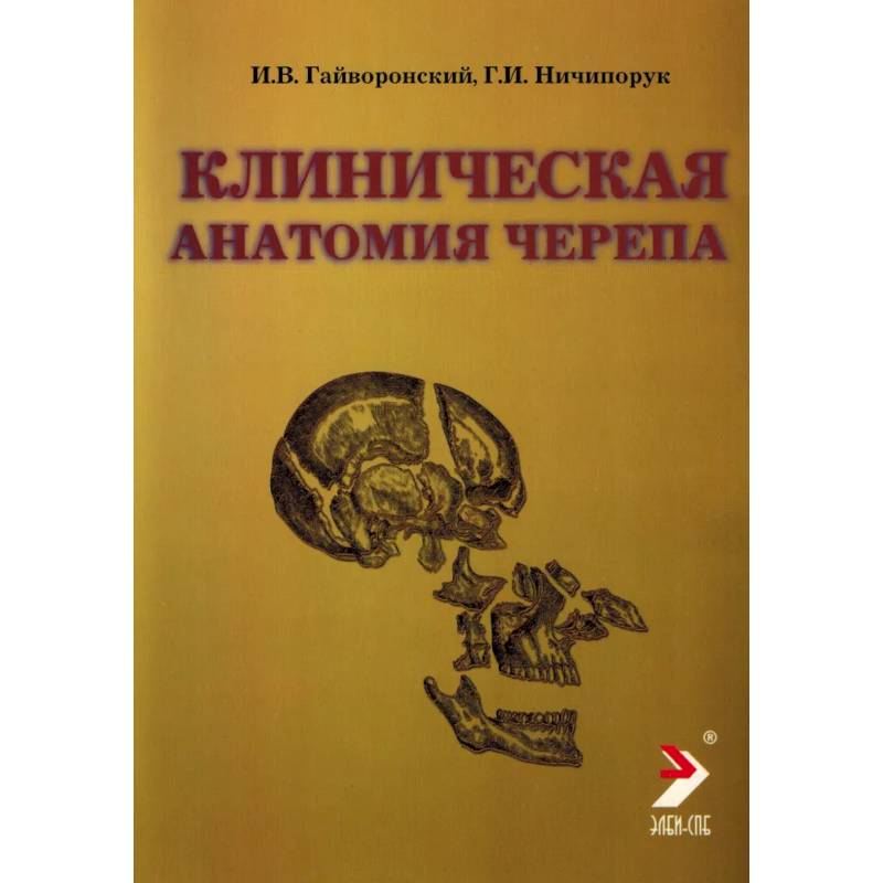 Клиническая анатомия черепа. Учебное пособие