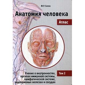 Анатомия человека. Атлас. Том 2: Учение о внутренностях, органах иммунной системы, лимфатической системе, эндокринных железах и сосудах