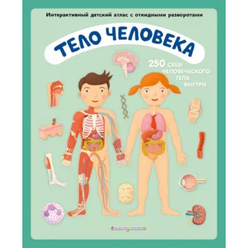 Тело человека. Интерактивный детский атлас с откидными разворотами Тело человека. Интерактивный детский атлас с откидными разворотами