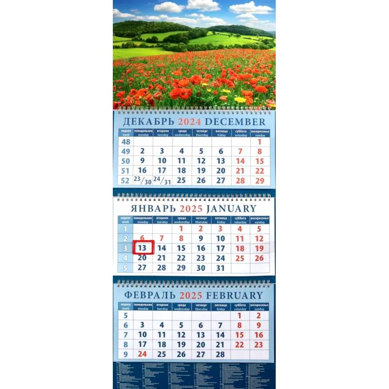 Календарь квартальный на 2025 год Пейзаж с маками Календарь квартальный на 2025 год Пейзаж с маками