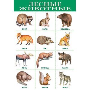Плакат 'Лесные животные' (1919)