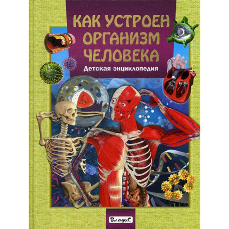 Как устроен организм человека. Детская энциклопедия Как устроен организм человека. Детская энциклопедия