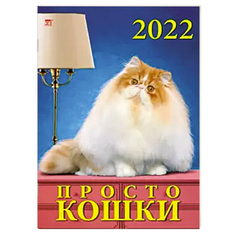 2022 Календарь Просто кошки