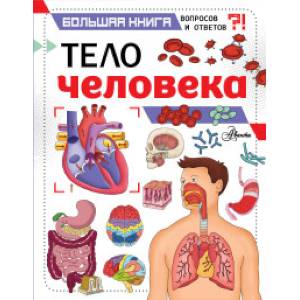 Тело человека Тело человека
